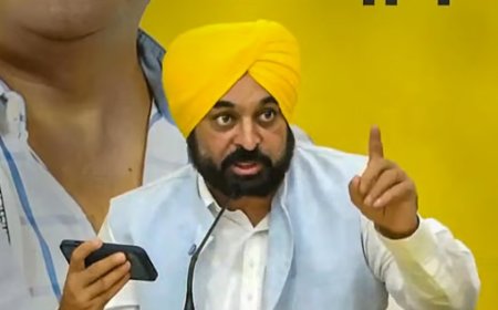 SYL ਮੁੱਦੇ ਦੇ ਹੱਲ ਲਈ ਚਨਾਬ ਦਾ ਪਾਣੀ ਪੰਜਾਬ, ਹਰਿਆਣਾ ਵੱਲ ਮੋੜੋ: ਕੇਂਦਰ ਦੀ ਮੀਟਿੰਗ ਵਿੱਚ ਮੁੱਖ ਮੰਤਰੀ ਮਾਨ