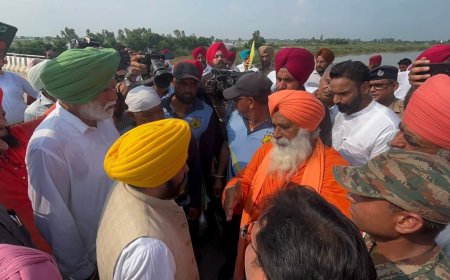 CM ਮਾਨ ਨੇ ਸੁਲਤਾਨਪੁਰ ਲੋਧੀ ਦੇ ਹੜ੍ਹ ਪ੍ਰਭਾਵਿਤ ਇਲਾਕਿਆਂ ਦਾ ਕੀਤਾ ਦੌਰਾ, ਵਿਸ਼ੇਸ਼ ਗਿਰਦਾਵਰੀ ਦੇ ਹੁਕਮ ਕੀਤੇ ਜਾਰੀ