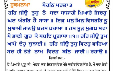 ਸ੍ਰੀ ਦਰਬਾਰ ਸਾਹਿਬ ਤੋਂ ਅੱਜ ਦਾ ਹੁਕਮਨਾਮਾ 29-08-2025