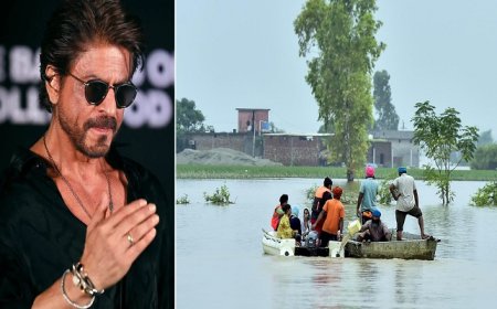 ਸ਼ਾਹਰੁਖ਼ ਖਾਨ ਤੋਂ ਲੈ ਕੇ ਸੰਜੇ ਦੱਤ ਤੱਕ, ਪੰਜਾਬ ਦੇ ਹੜ੍ਹ ਪੀੜ੍ਹਤਾਂ ਲਈ ਪਸੀਜਿਆ ਬਾਲੀਵੁੱਡ ਸੈਲੀਬ੍ਰਿਟੀਜ਼ ਦਾ ਦਿਲ
