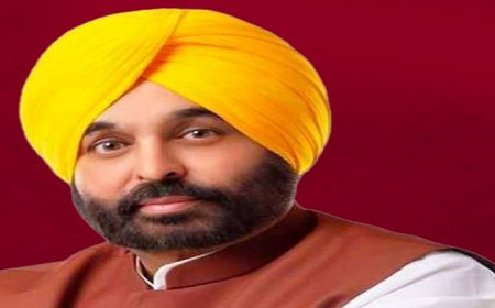 ਮੁੱਖ ਮੰਤਰੀ ਭਗਵੰਤ ਮਾਨ ਨੇ ਹੜ੍ਹ ਰਾਹਤ ਕਾਰਜਾਂ ਦਾ ਲਿਆ ਜਾਇਜ਼ਾ , ਜਾਰੀ ਕੀਤੇ ਸਖ਼ਤ ਹੁਕਮ