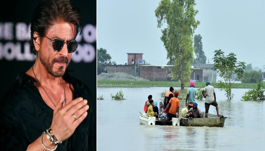 ਸ਼ਾਹਰੁਖ਼ ਖਾਨ ਤੋਂ ਲੈ ਕੇ ਸੰਜੇ ਦੱਤ ਤੱਕ, ਪੰਜਾਬ ਦੇ ਹੜ੍ਹ ਪੀੜ੍ਹਤਾਂ ਲਈ ਪਸੀਜਿਆ ਬਾਲੀਵੁੱਡ ਸੈਲੀਬ੍ਰਿਟੀਜ਼ ਦਾ ਦਿਲ