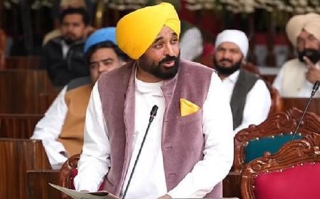 ਪੰਜਾਬ ਦੇ 3 ਸ਼ਹਿਰਾਂ ਨੂੰ ‘ਪਵਿੱਤਰ ਸ਼ਹਿਰ’ ਦਾ ਦਰਜਾ, ਇਥੇ ਨਹੀਂ ਹੋਵੇਗੀ ਸ਼ਰਾਬ-ਮੀਟ, ਤੰਬਾਕੂ ਦੀ ਵਿਕਰੀ