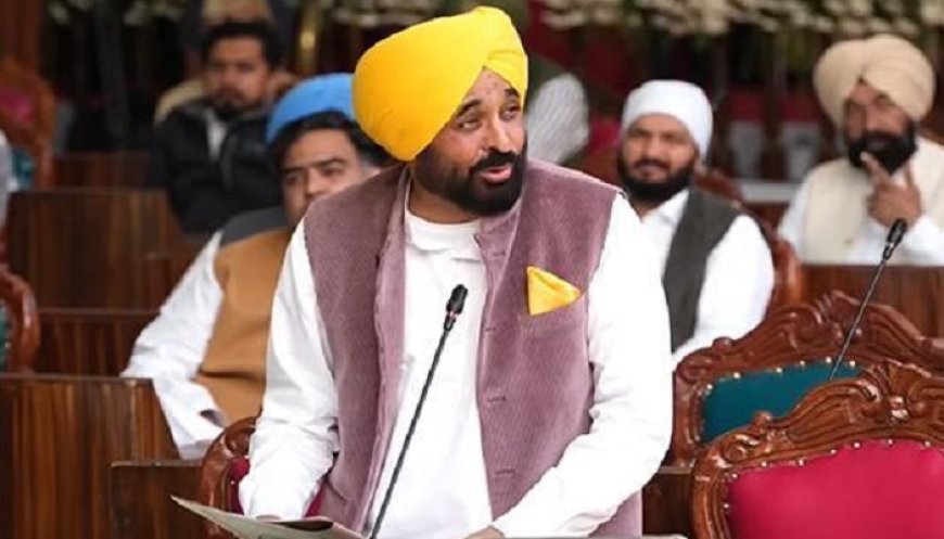 ਪੰਜਾਬ ਦੇ 3 ਸ਼ਹਿਰਾਂ ਨੂੰ ‘ਪਵਿੱਤਰ ਸ਼ਹਿਰ’ ਦਾ ਦਰਜਾ, ਇਥੇ ਨਹੀਂ ਹੋਵੇਗੀ ਸ਼ਰਾਬ-ਮੀਟ, ਤੰਬਾਕੂ ਦੀ ਵਿਕਰੀ