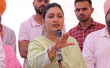 ‘ਕੋਈ ਬਾਂਹ ਕੱਢ ਕੇ ਕਹਿ ਦੇਵੇ ਕਿ ਕਿਸੇ ਦੀ ਅਠੱਨੀ ਵੀ ਮੇਰੇ ਘਰ ਗਈ ਹੋਵੇ…’ ਅਨਮੋਲ ਗਗਨ ਮਾਨ ਦਾ ਵੱਡਾ ਬਿਆਨ