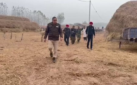 ਨਵੇਂ ਸਾਲ ਨੂੰ ਲੈ ਕੇ ਵਧਾਈ ਗਈ ਸੁਰੱਖਿਆ, ਪੰਜਾਬ ਪੁਲਿਸ ਤੇ BSF ਨੇ ਸਰਹੱਦ ‘ਤੇ ਚਲਾਇਆ ਸਰਚ ਆਪ੍ਰੇਸ਼ਨ
