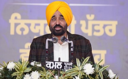 ਪੰਜਾਬ ‘ਚ ਸਟਾਰਟਅੱਪ ਨੂੰ ਮਿਲਣਗੇ 20 ਲੱਖ ਰੁਪਏ, ਮਾਨ ਸਰਕਾਰ ਨੇ ਕੀਤਾ ਐਲਾਨ