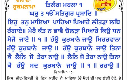 ਸ੍ਰੀ ਦਰਬਾਰ ਸਾਹਿਬ ਤੋਂ ਅੱਜ ਦਾ ਹੁਕਮਨਾਮਾ 07-02-2026