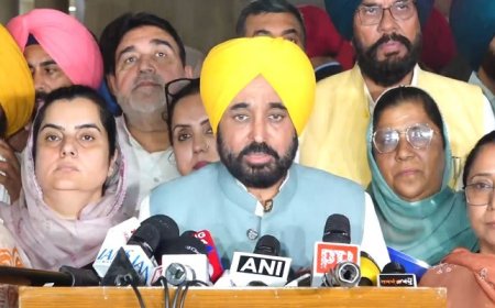 Budget ਮਗਰੋਂ CM ਮਾਨ ਹੋਏ ਲਾਈਵ, ਕਿਹਾ-‘ਇਹ ਸਿਰਫ ਬਜਟ ਨਹੀਂ ਤਰੱਕੀ ਦਾ Affidavit ਹੈ’