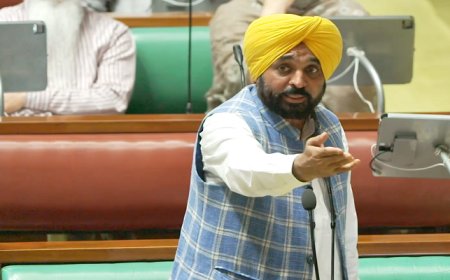 90% ਘਰਾਂ ਨੂੰ ਦੇ ਰਹੇ ਹਾਂ ਮੁਫ਼ਤ ਬਿਜਲੀ, ਅਸੀਂ ਆਪਣਾ ਇੱਕ-ਇੱਕ ਪਲ ਲੋਕਾਂ ਦੇ ਲੇਖੇ ਲਗਾਇਆ : CM ਭਗਵੰਤ ਮਾਨ