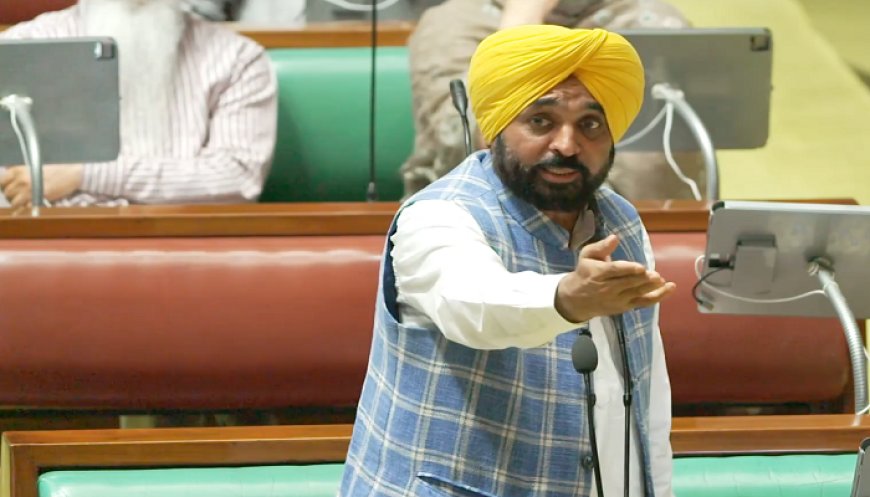 90% ਘਰਾਂ ਨੂੰ ਦੇ ਰਹੇ ਹਾਂ ਮੁਫ਼ਤ ਬਿਜਲੀ, ਅਸੀਂ ਆਪਣਾ ਇੱਕ-ਇੱਕ ਪਲ ਲੋਕਾਂ ਦੇ ਲੇਖੇ ਲਗਾਇਆ : CM ਭਗਵੰਤ ਮਾਨ