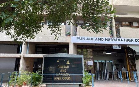 ਪੰਜਾਬ ‘ਚ ਟਰਾਂਸਜੈਂਡਰ ਲਈ ਵੱਖਰਾ ਲਾਕਅੱਪ ਨਹੀਂ, ਹਾਈਕੋਰਟ ‘ਚ ਪੁਲਿਸ ਦਾ ਹਲਫਨਾਮਾ