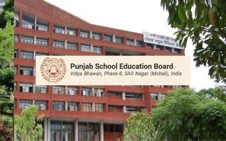 PSEB ਵੱਲੋਂ 8ਵੀਂ ਦੇ ਨਤੀਜੇ ਜਾਰੀ, ਪਹਿਲਾਂ 3 ਥਾਵਾਂ ‘ਤੇ ਧੀਆਂ ਨੇ ਮਾਰੀ ਬਾਜ਼ੀ, 96.51 ਫੀਸਦੀ ਰਿਹਾ Result