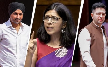 ਰਾਘਵ ਚੱਢਾ ਸਣੇ AAP ਛੱਡਣ ਵਾਲੇ 7 ਸਾਂਸਦਾਂ ਦੀ ਜਾਏਗੀ ਰਾਜ ਸਭਾ ਮੈਂਬਰਸ਼ਿਪ? ਜਾਣੋ ਕੀ ਕਹਿੰਦਾ ਏ ਕਾਨੂੰਨ