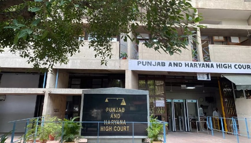 ਪੰਜਾਬ ‘ਚ ਟਰਾਂਸਜੈਂਡਰ ਲਈ ਵੱਖਰਾ ਲਾਕਅੱਪ ਨਹੀਂ, ਹਾਈਕੋਰਟ ‘ਚ ਪੁਲਿਸ ਦਾ ਹਲਫਨਾਮਾ