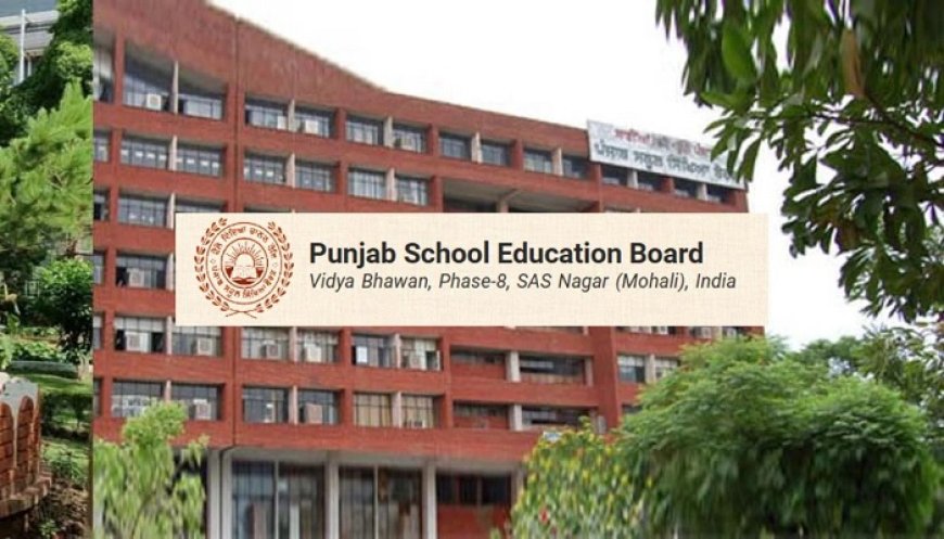 PSEB ਵੱਲੋਂ 8ਵੀਂ ਦੇ ਨਤੀਜੇ ਜਾਰੀ, ਪਹਿਲਾਂ 3 ਥਾਵਾਂ ‘ਤੇ ਧੀਆਂ ਨੇ ਮਾਰੀ ਬਾਜ਼ੀ, 96.51 ਫੀਸਦੀ ਰਿਹਾ Result