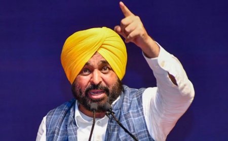 ‘ਪੰਜਾਬ ਨਾ ਕਦੇ ਝੁਕਿਆ ਹੈ ਤੇ ਨਾ ਹੀ ਝੁਕੇਗਾ’, ‘ਆਪ’ ਮੰਤਰੀ ਦੇ ਘਰ ED ਦੀ ਰੇਡ ‘ਤੇ ਬੋਲੇ CM ਮਾਨ