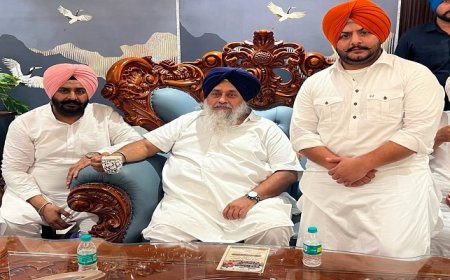 ਸੁਖਬੀਰ ਬਾਦਲ ਤੇ ਹਰਮੀਤ ਸਿੰਘ ਪਠਾਣਮਾਜਰਾ ਵਿਚਕਾਰ ਹੋਈ ਮੁਲਾਕਾਤ, ਪੰਜਾਬ ਦੀ ਸਿਆਸਤ ‘ਚ ਛਿੜੀ ਨਵੀਂ ਚਰਚਾ