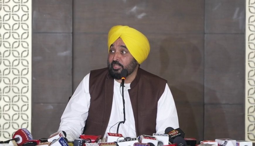 ‘ਕੱਦ 2 ਇੰਚ ਉੱਚਾ, ਮਾਸਕ ਲਾਇਆ, ਗਲੇ ‘ਤੇ ਨਿਸ਼ਾਨ ਨਹੀਂ’, ਕਥਿਤ ਵੀਡੀਓ ਵਿਵਾਦ ‘ਤੇ CM ਮਾਨ ਦੇ ਖੁਲਾਸੇ