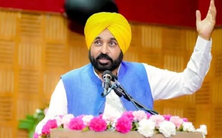 ‘ਪੰਜਾਬ ‘ਚ ਕਿਸੇ ਯੋਗ ਵੋਟਰ ਦੀ ਅਸਲ ਵੋਟ ਨਾ ਕੱਟੀ ਜਾਵੇ’-CM ਮਾਨ ਦੀ ਸਮੂਹ BLO ਤੇ ਵਲੰਟੀਅਰਾਂ ਨੂੰ ਅਪੀਲ