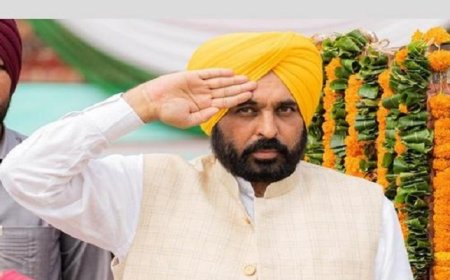 CM ਮਾਨ ਫਿਰੋਜ਼ਪੁਰ ‘ਚ ਲਹਿਰਾਉਣਗੇ ਝੰਡਾ, 15 ਅਗਸਤ ਨੂੰ ਲੈ ਕੇ ਮੁੱਖ ਮਹਿਮਾਨਾਂ ਦੀ ਲਿਸਟ ਜਾਰੀ