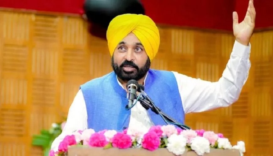 ‘ਪੰਜਾਬ ‘ਚ ਕਿਸੇ ਯੋਗ ਵੋਟਰ ਦੀ ਅਸਲ ਵੋਟ ਨਾ ਕੱਟੀ ਜਾਵੇ’-CM ਮਾਨ ਦੀ ਸਮੂਹ BLO ਤੇ ਵਲੰਟੀਅਰਾਂ ਨੂੰ ਅਪੀਲ