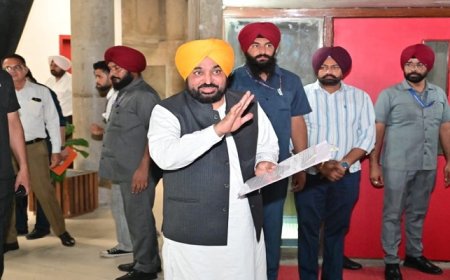ਆਊਟਸੋਰਸ ਕਰਮਚਾਰੀਆਂ ਨੂੰ ਠੇਕੇ ‘ਤੇ ਰੱਖੇਗੀ ਮਾਨ ਸਰਕਾਰ, ਸਰਬਸੰਮਤੀ ਨਾਲ ਪਾਸ ਹੋਇਆ ਬਿੱਲ