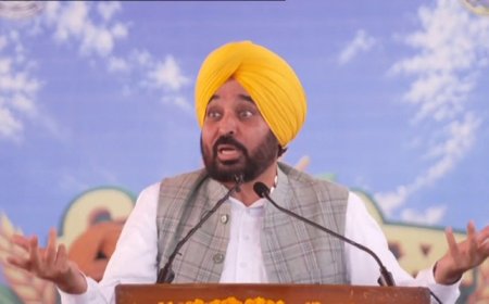 ‘ਮੈਂ ਤੁਹਾਡਾ ਮਿੱਤਰ ਕੀੜਾ, ਤੁਸੀਂ ਮੇਰੇ ‘ਤੇ ਹੀ…’, ਕਿਸਾਨਾਂ ਦੇ ਧਰਨਿਆਂ ‘ਤੇ ਬੋਲੇ CM ਮਾਨ