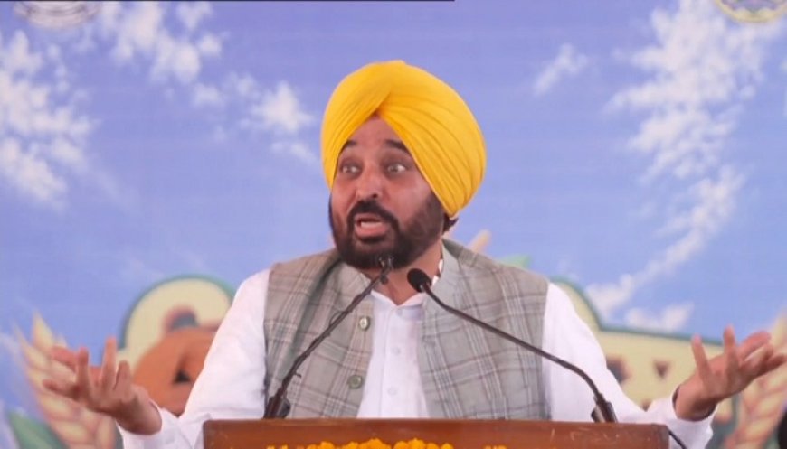 ‘ਮੈਂ ਤੁਹਾਡਾ ਮਿੱਤਰ ਕੀੜਾ, ਤੁਸੀਂ ਮੇਰੇ ‘ਤੇ ਹੀ…’, ਕਿਸਾਨਾਂ ਦੇ ਧਰਨਿਆਂ ‘ਤੇ ਬੋਲੇ CM ਮਾਨ