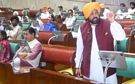 ਪੰਜਾਬ ਵਿਧਾਨ ਸਭਾ ‘ਚ SIR ਖਿਲਾਫ ਮਤਾ ਪਾਸ, ਅਜਿਹਾ ਕਰਨ ਵਾਲਾ ਪਹਿਲਾ ਸੂਬਾ